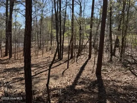 172 James Drive Seven Lakes NC 27376