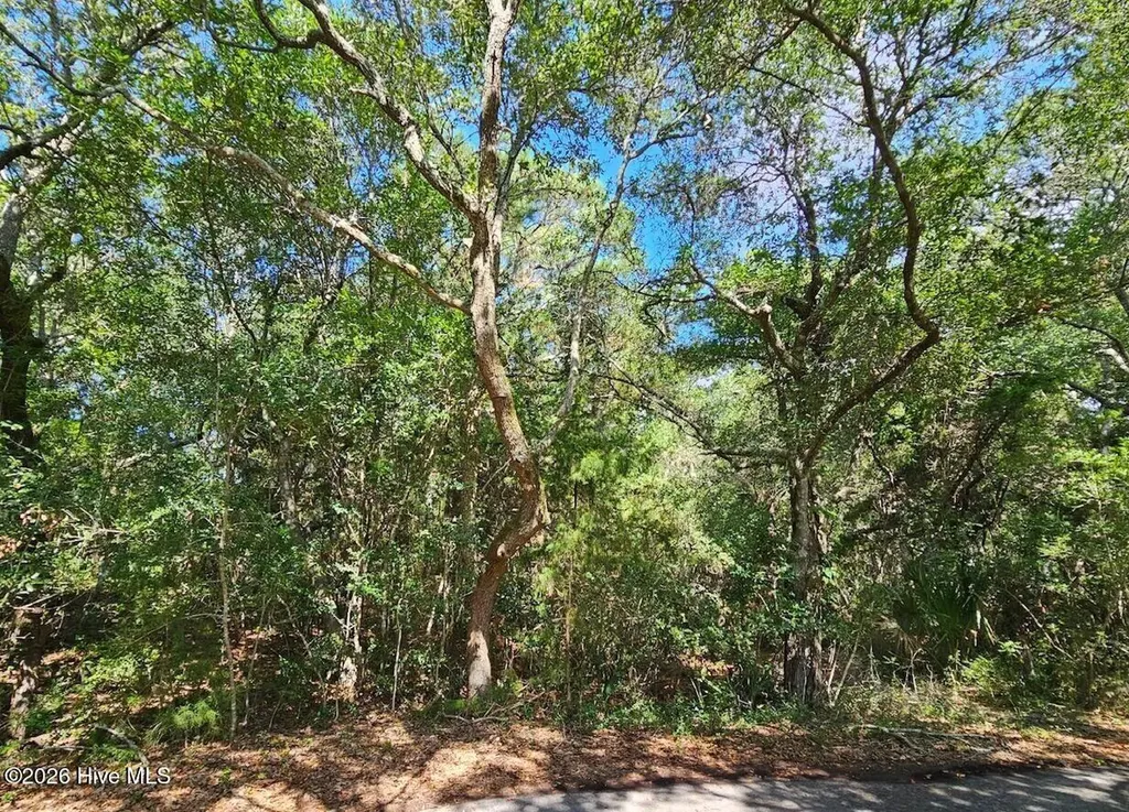 17 Col William Rhett Trail Bald Head Island NC 28461