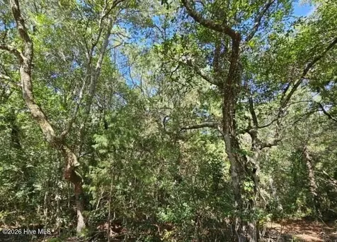 17 Col William Rhett Trail Bald Head Island NC 28461