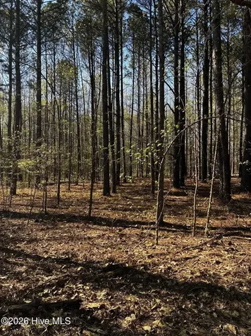 285 Kelly Road Carthage NC 28327