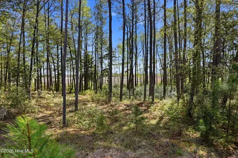 1624 Herons View Drive Wilmington NC 28401