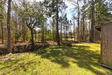 1438 Forest Hill Drive Leland NC 28451