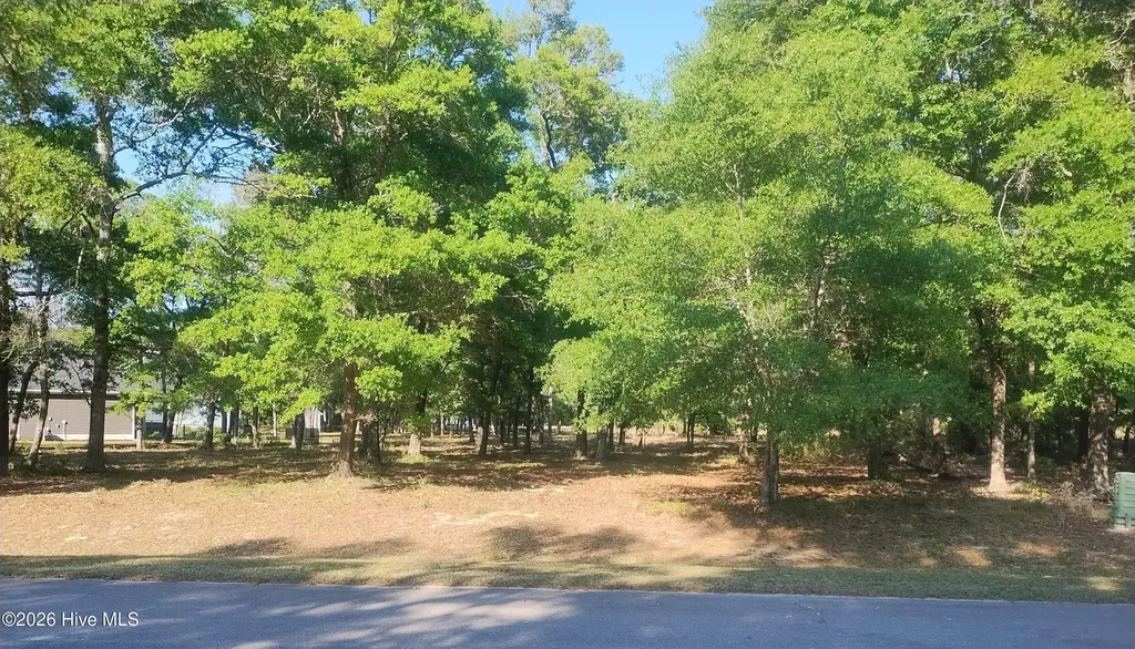 2168 Clambake Court SW Supply NC 28462