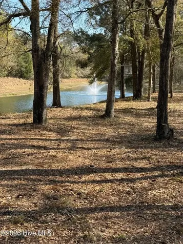 2168 Clambake Court SW Supply NC 28462