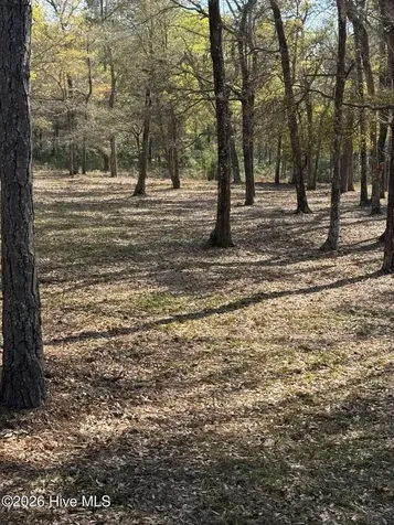 2168 Clambake Court SW Supply NC 28462