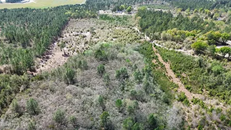 0 Wilbur Pridgen Road Harrells NC 28444