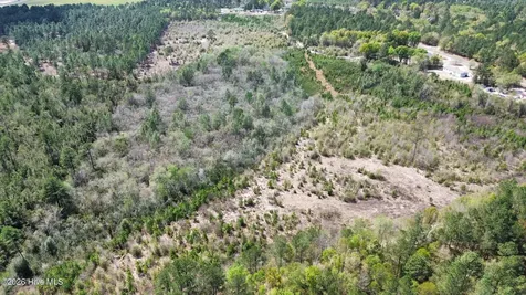 0 Wilbur Pridgen Road Harrells NC 28444