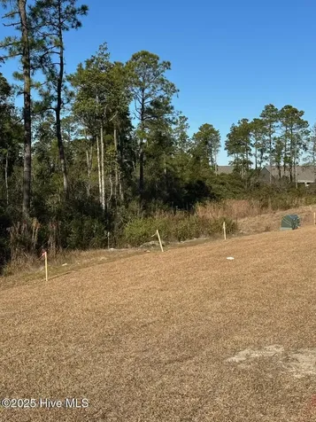7803 Pennycress Drive Leland NC 28451