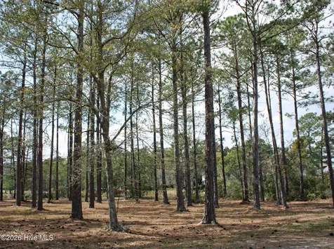 640 Barons Court SW Ocean Isle Beach NC 28469
