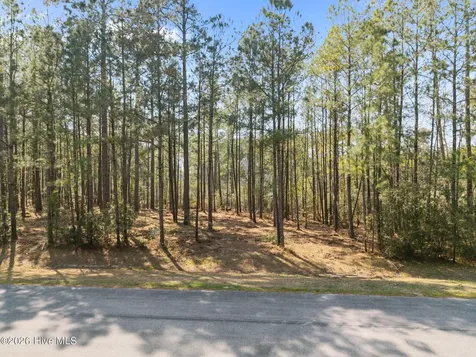 1512, 1535 Bailey Pointe Drive Belhaven NC 27810