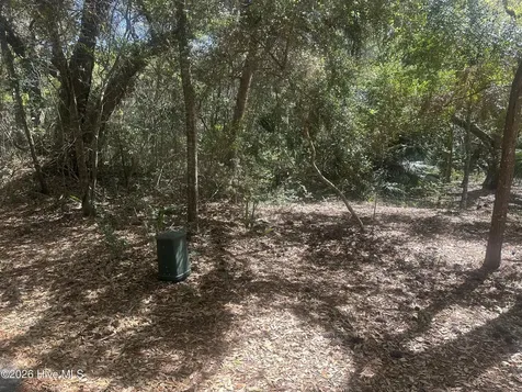 31 Fort Holmes Trail Bald Head Island NC 28461