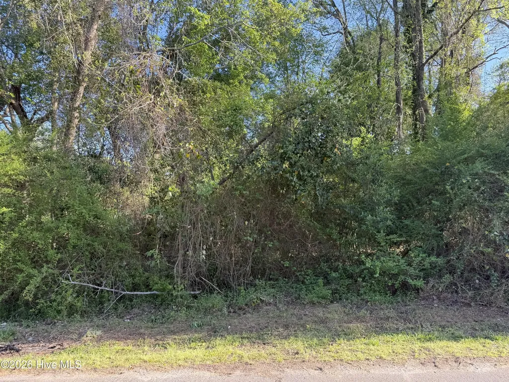 2509 New Bern Avenue New Bern NC 28560