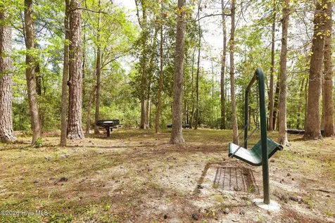 318 Dove Field Court SE Leland NC 28451
