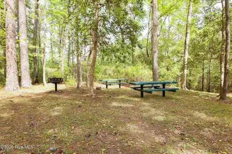 318 Dove Field Court SE Leland NC 28451