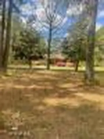 1311 Bill Town Road Rose Hill NC 28458