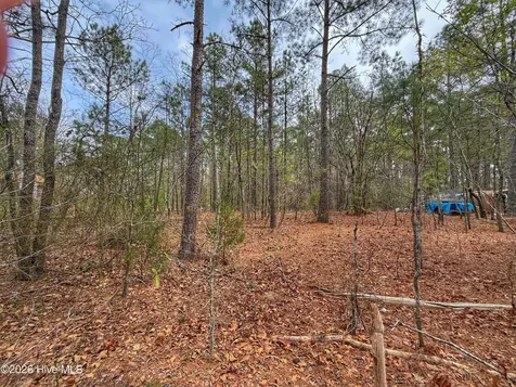 221 Riverview Drive Vass NC 28394