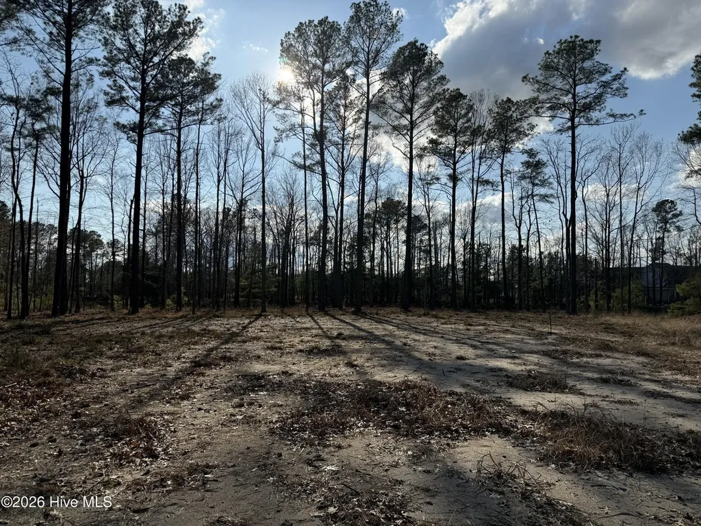 59 Paint Lane Hertford NC 27944