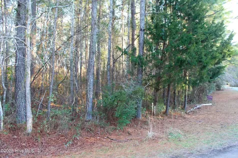 145 Heron Drive Havelock NC 28532