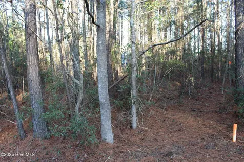145 Heron Drive Havelock NC 28532