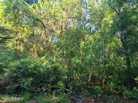 54 Fort Holmes Trail Bald Head Island NC 28461