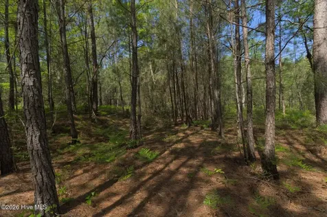0 Sr 1226 Road Aberdeen NC 28315