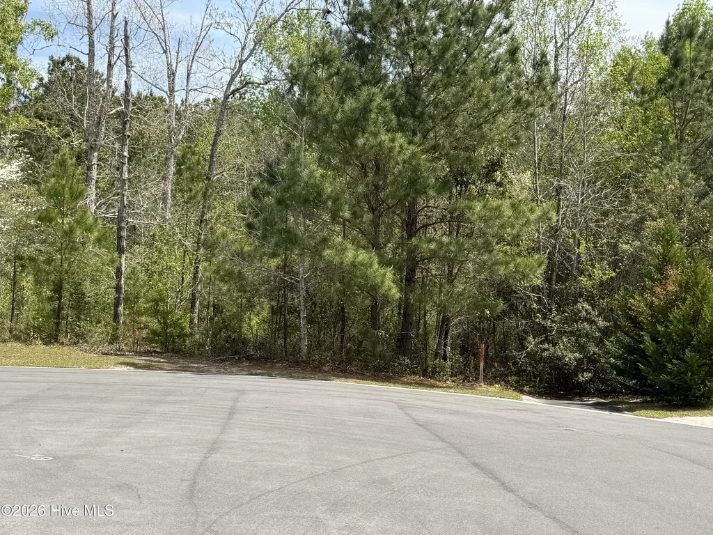 2981 Lyndhurst Terrace SW Shallotte NC 28470