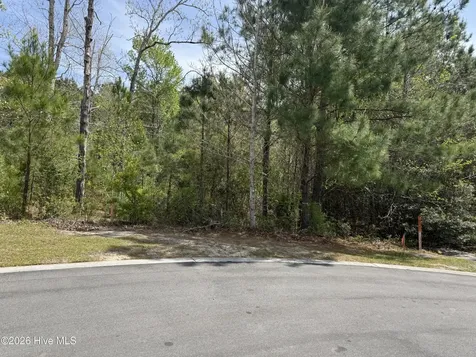 2981 Lyndhurst Terrace SW Shallotte NC 28470