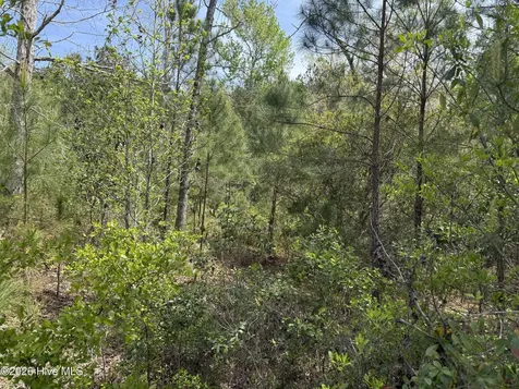 2981 Lyndhurst Terrace SW Shallotte NC 28470