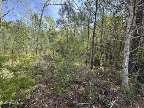 2981 Lyndhurst Terrace SW Shallotte NC 28470