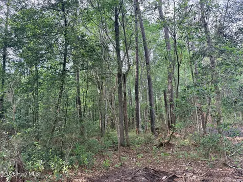 1R Page (CRABTREE) Road Burgaw NC 28425