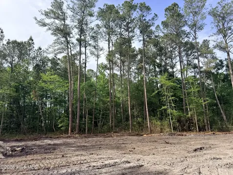 1R Page (CRABTREE) Road Burgaw NC 28425