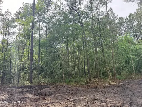 1R Page (CRABTREE) Road Burgaw NC 28425