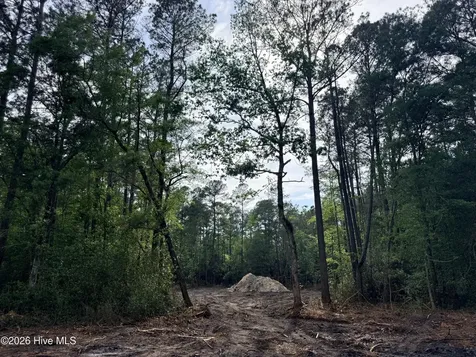 1R Page (CRABTREE) Road Burgaw NC 28425