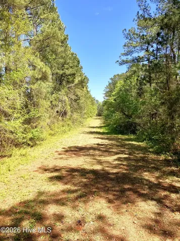 0 Lukeath Carter Drive Havelock NC 28532