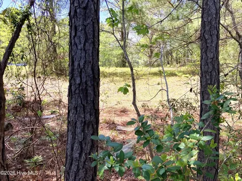 0 Lukeath Carter Drive Havelock NC 28532