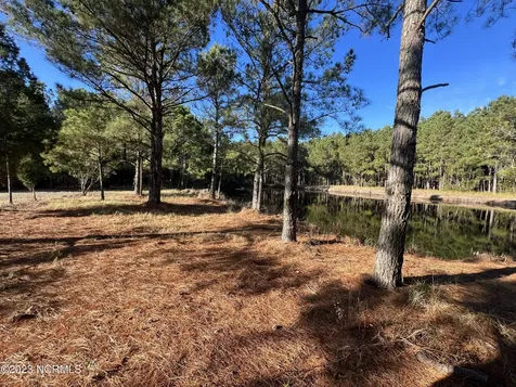 Lot 69 Dowry Creek W Belhaven NC 27810