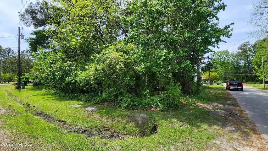 15-20 W Near 108 Jackson Street Chadbourn NC 28431