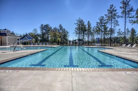236 Sabal Pond Way Castle Hayne NC 28429