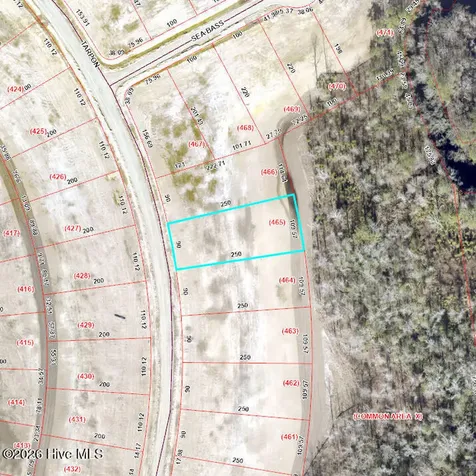 2009 Tarpon Trail New Bern NC 28562