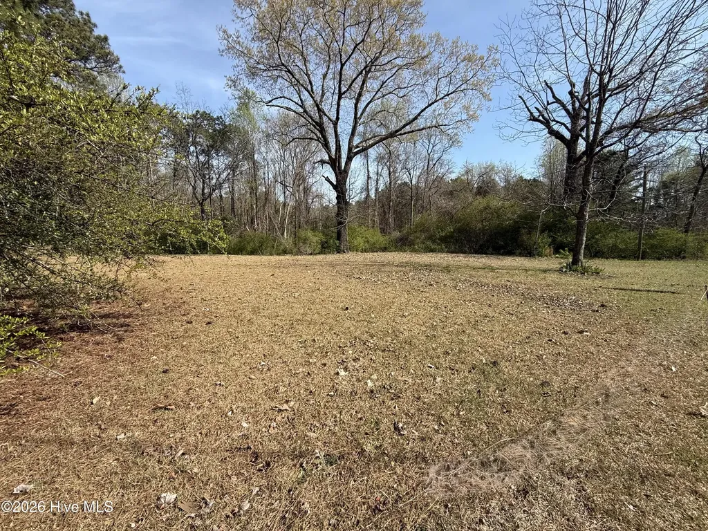 1878 Bailey Road Coats NC 27521