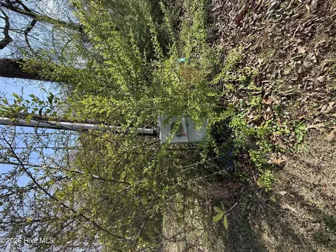 1878 Bailey Road Coats NC 27521