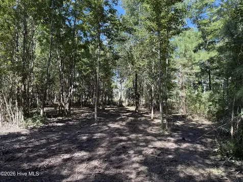 2 Alexander Drive Belhaven NC 27810