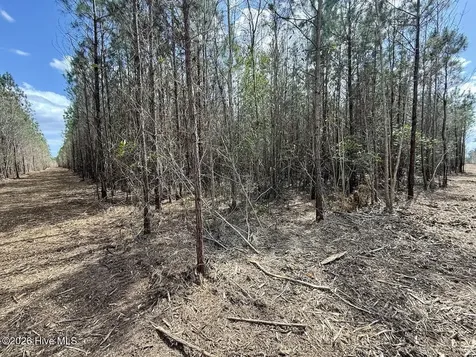 0 Guinea Mill Road Ernul NC 28527