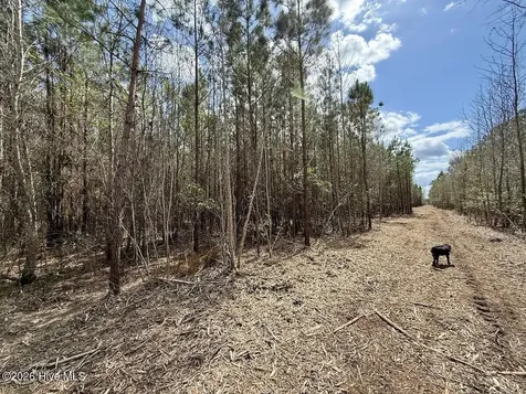 0 Guinea Mill Road Ernul NC 28527