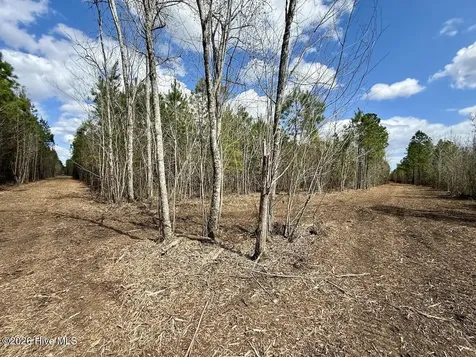 0 Guinea Mill Road Ernul NC 28527