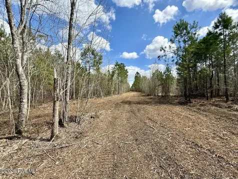 0 Guinea Mill Road Ernul NC 28527