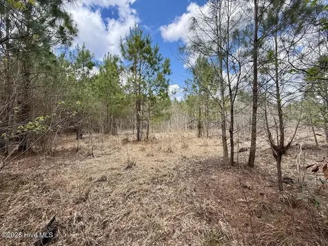 0 Guinea Mill Road Ernul NC 28527