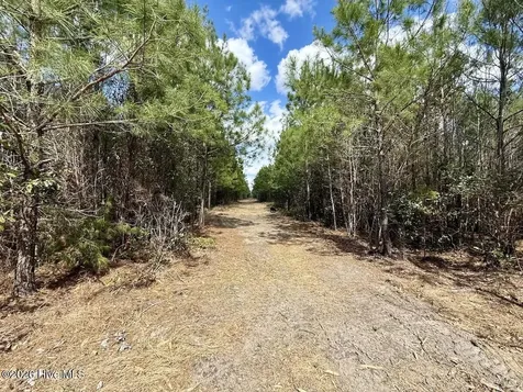 0 Guinea Mill Road Ernul NC 28527