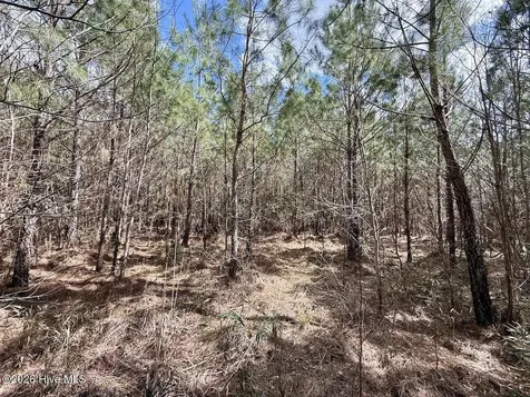 0 Guinea Mill Road Ernul NC 28527