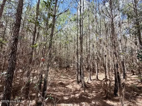 0 Guinea Mill Road Ernul NC 28527